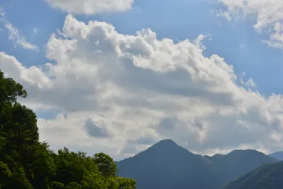 DSC_3932 (Large).JPG